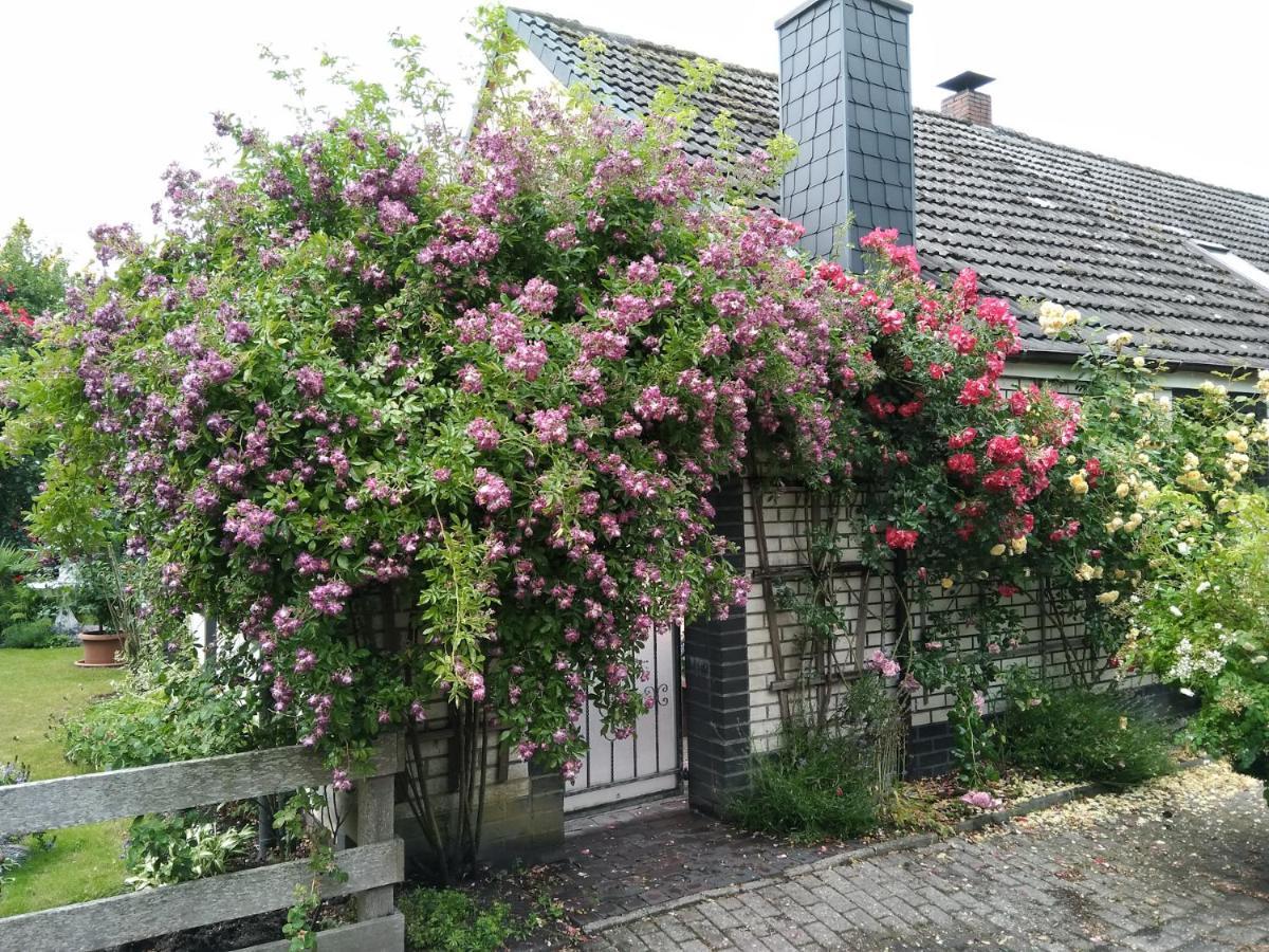 Haus Sielblick Apartment Schillig Exterior photo